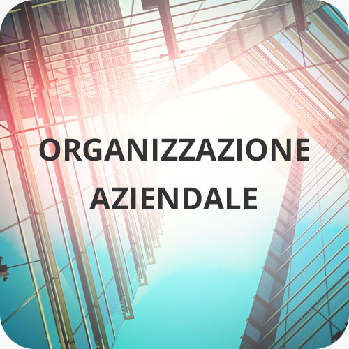 bottone-organizzazione-aziendale